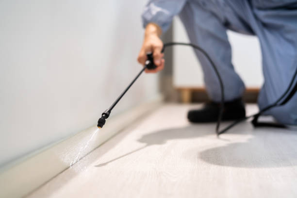 Licensed Cockroach Control service in Overland Park, KS - Nex Pest Control
