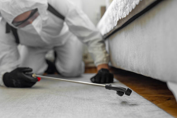 Professional Cockroach Control technician working in Overland Park, KS