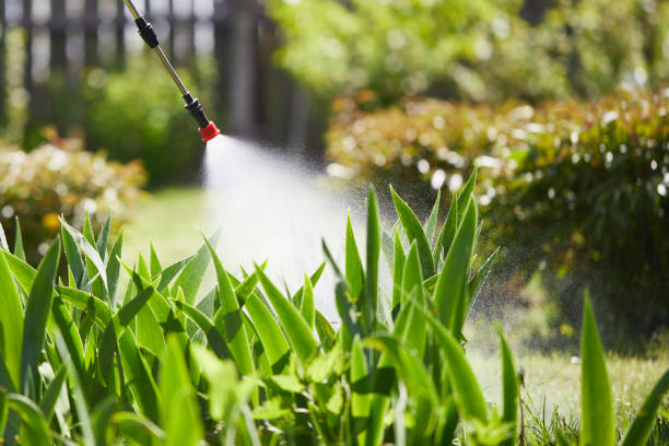 24/7 Emergency Cockroach Control experts in Overland Park, KS
