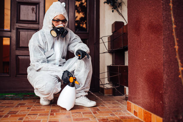 Reliable Cockroach Control contractor in Overland Park, KS by Nex Pest Control