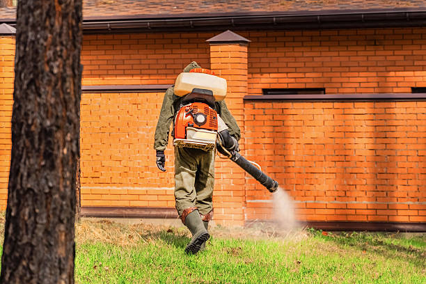Trusted Cockroach Control service in Overland Park, KS - Nex Pest Control